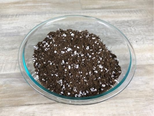 Potting soil for Satin Pothos